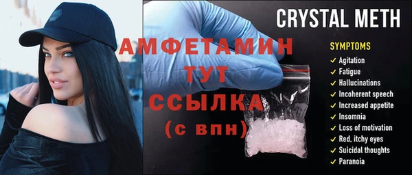 прущие грибы Балахна