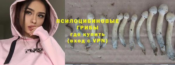 ешки Баксан