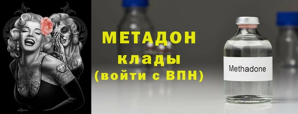 прущие грибы Балахна