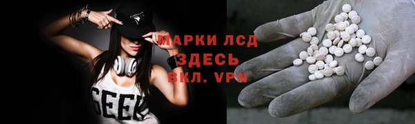 прущие грибы Балахна