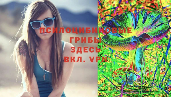 прущие грибы Балахна