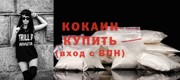 прущие грибы Балахна