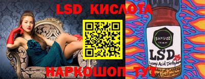 прущие грибы Гатчина