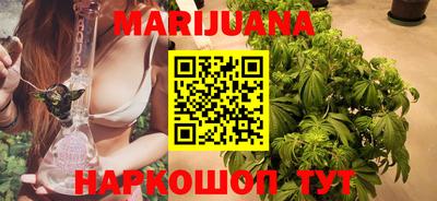 прущие грибы Гатчина