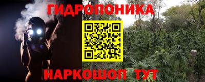 соль курить ск Гай