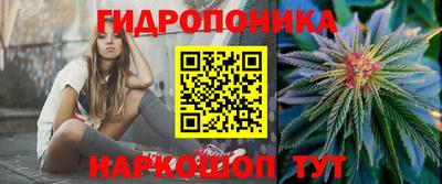 прущие грибы Гатчина