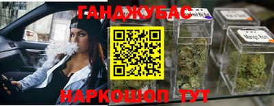 гашик Гагарин