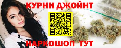 прущие грибы Гатчина