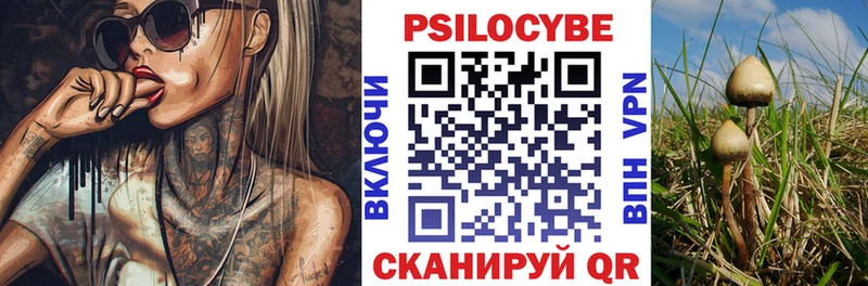 Галлюциногенные грибы Psilocybine cubensis  Ессентуки 
