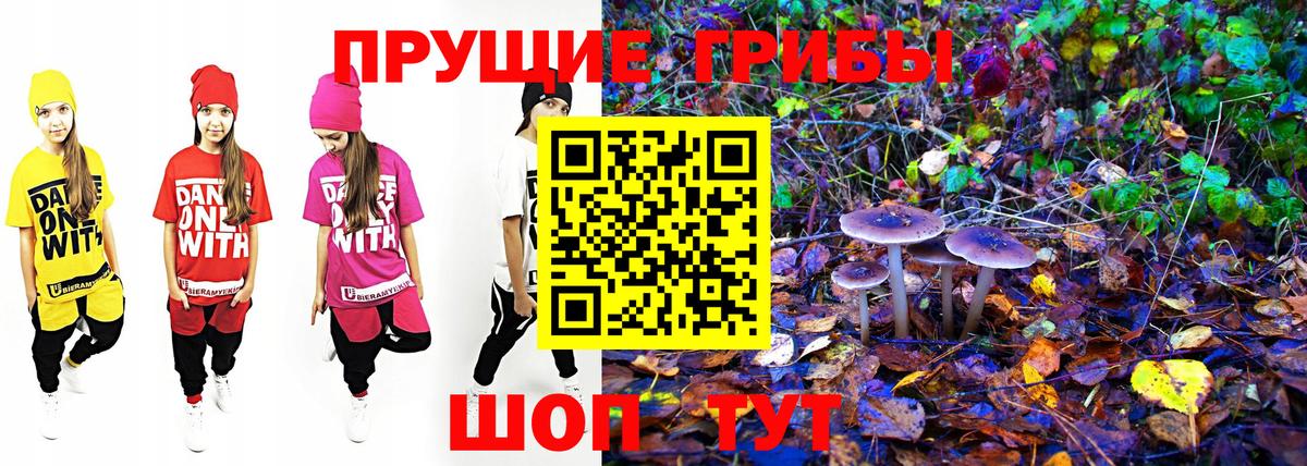 Галлюциногенные грибы Magic Shrooms  как найти закладки  Вход с VPN  Ессентуки  Галлюциногенные грибы мухоморы 