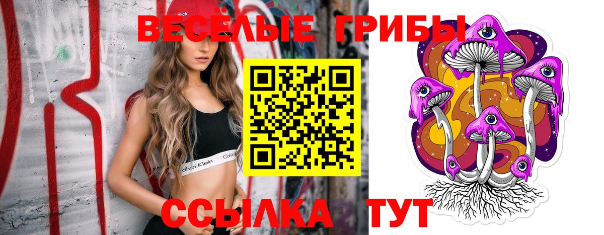 Псилоцибиновые грибы прущие грибы Ессентуки